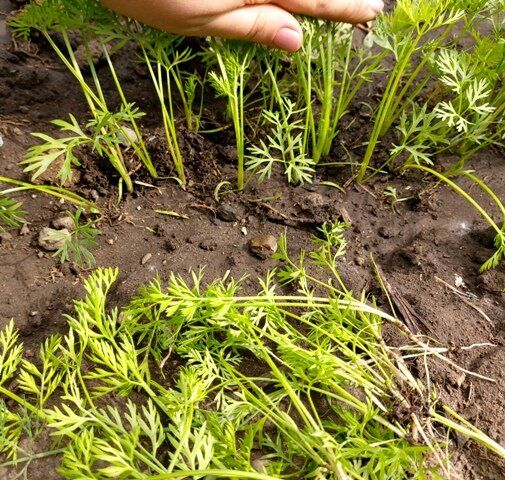 ��� ��������� �� �������� � ������ ���� ��� ������� �������� ������