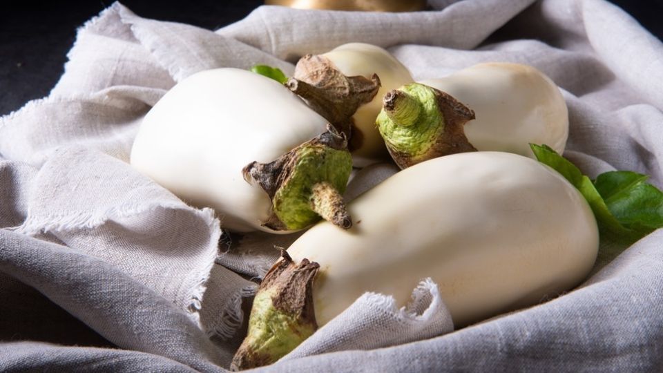 ������������ ����� ����������: ��� ���� ���� �������� ������������