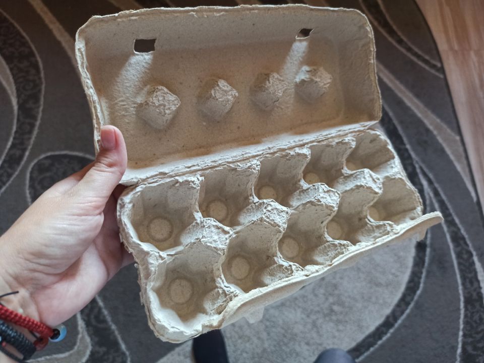 Как лотки от яиц становятся спасением для урожая зимой