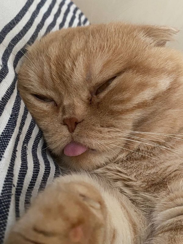 Доброе утро, друзья!. Сегодня, 26 февраля, празднуем Всемирный день фисташек, День слесаря, Международный день неторопливости и День термоса