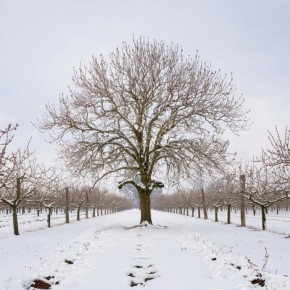 ��� ������� ��������� �������� ����� �������� ������ ���������