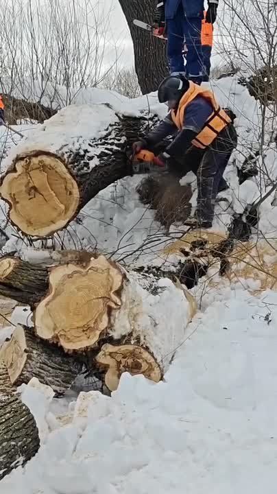 ����������� ��������� ������������� ������������� ���������� ������ ����������