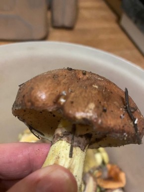 � ����� �������� ������ � ������������� �������