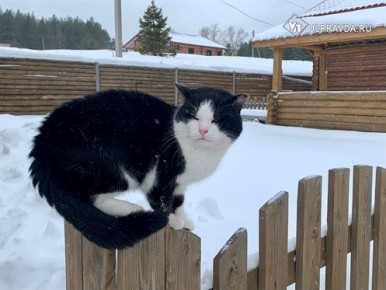 Фестиваль-реконструкция, день открытых дверей, «Май маркет», концерты и экскурсии