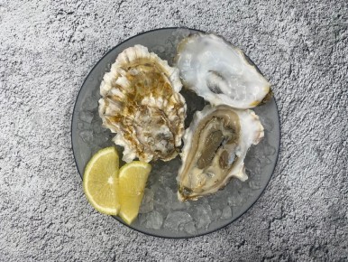 ������� �����: �������� �����, ��������� ��������