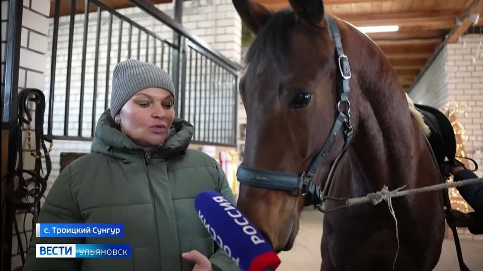 По китайскому календарю начался год Лошади