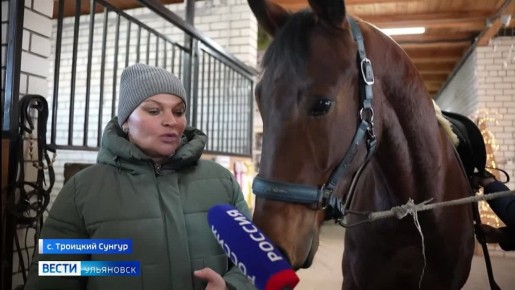 По китайскому календарю начался год Лошади