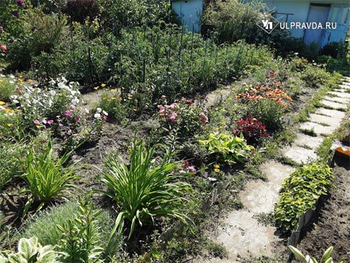 В новом садоводческом сезоне владельцам фазенд придется тщательно заниматься не только посадками, но и… изучением федеральных законов