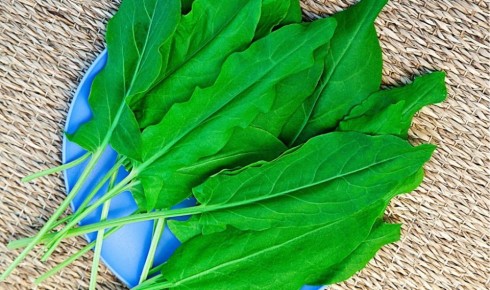 ������: �� �������� �������� �� ������� ����