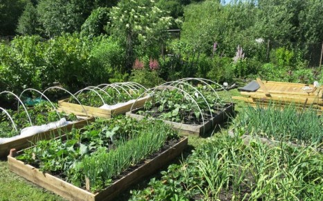 �������� � ���������: ������� ��������� �������������� �� ���������� �������