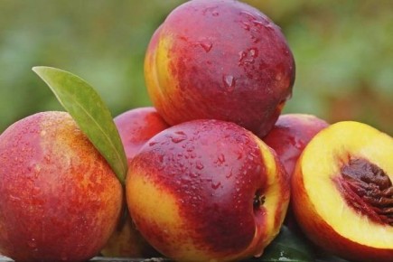 ����� ������: ������� ��������� � ��� �����������