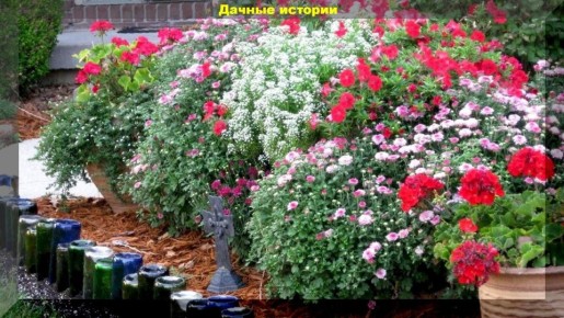 Как создать идеальный цветник: практические советы для садоводов