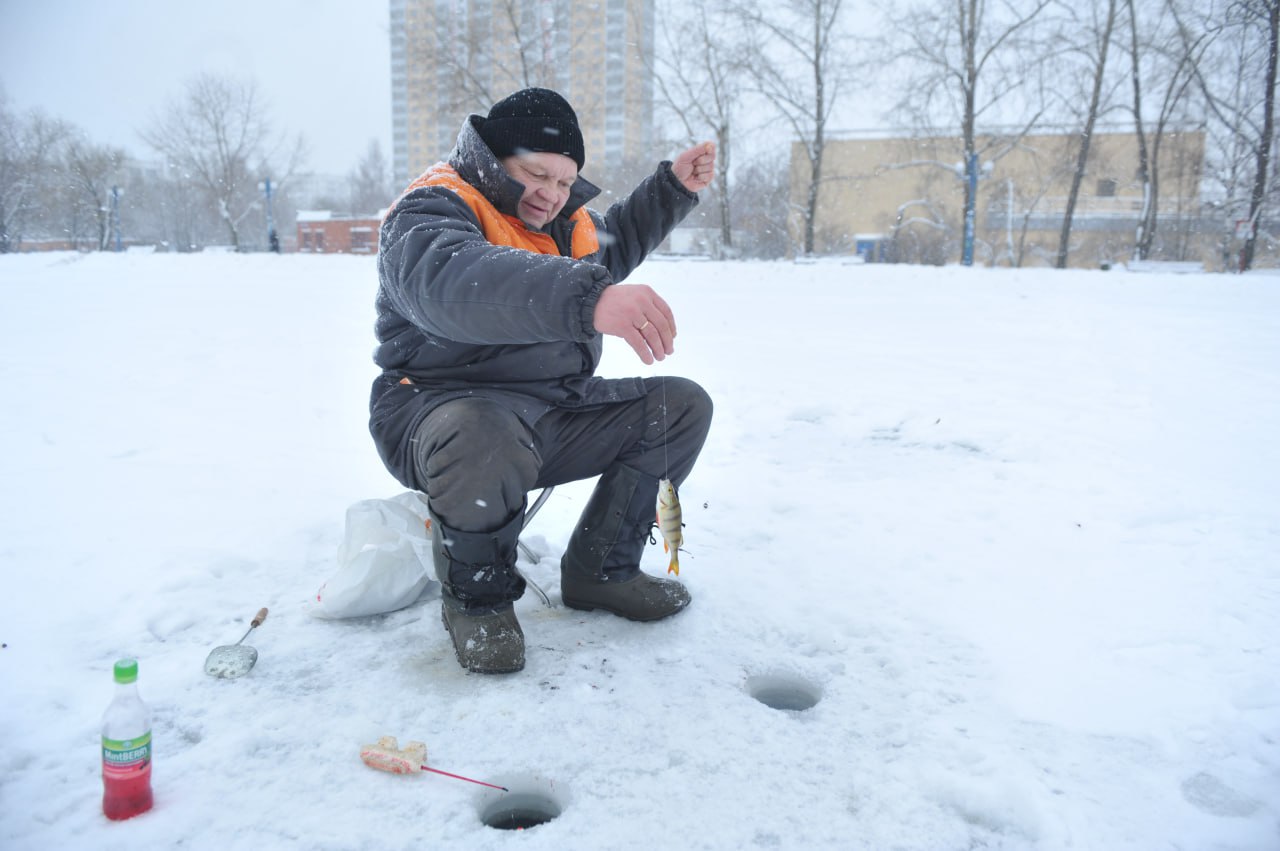 В Ульяновске на реке Свияга в районе посёлка «Дачный» 1 марта 2026 года пройдёт открытый чемпионат Ульяновской области по рыболовному спорту