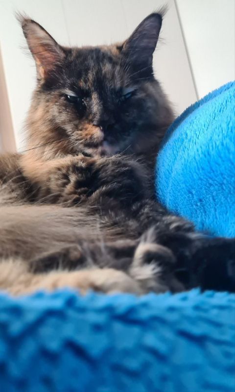 ������ ����, ������!. ��� � �������� ��������� ���� ����