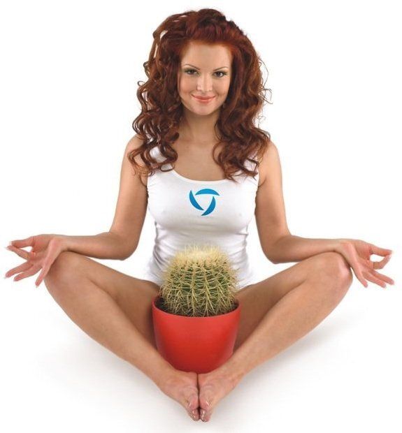 ���������� �� ������������� �����: ������� � ������