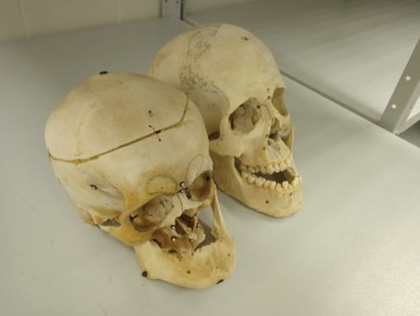 Можно ли выйти на след преступника спустя 35 лет и вычислить его лишь по одной капле физиологической жидкости? А воссоздать облик святого по останкам черепа? Ульяновские криминалисты рассказали о секретах мастерства