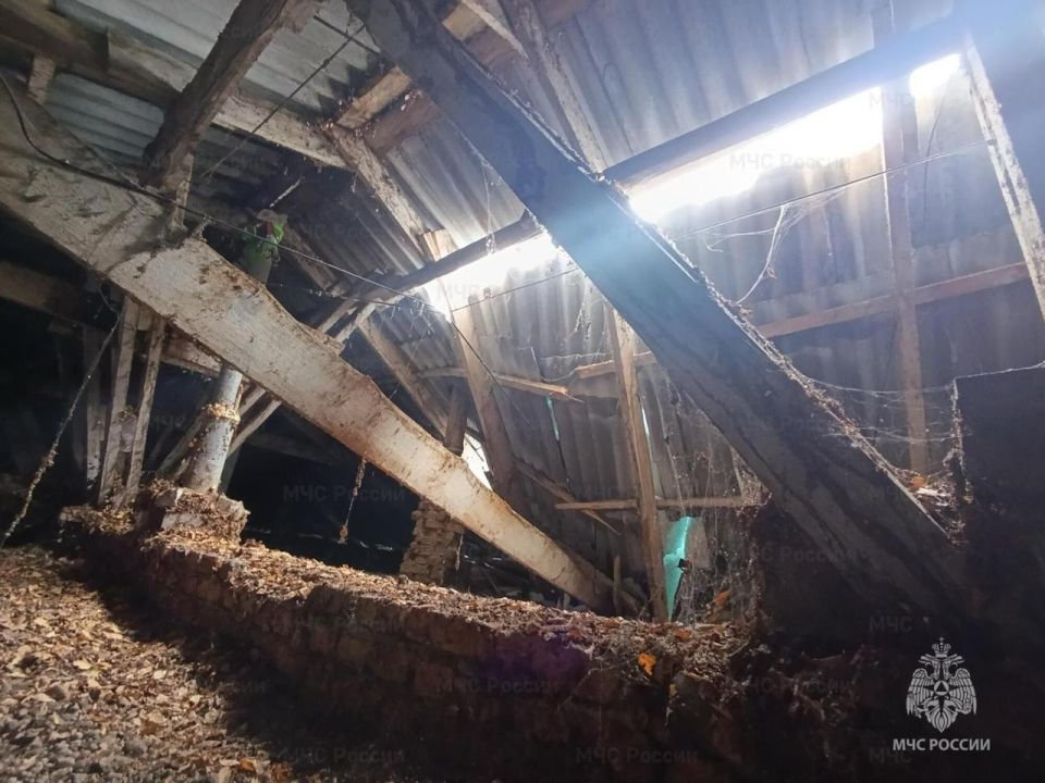 ����� ������������ ���� �������� ���������� � �������