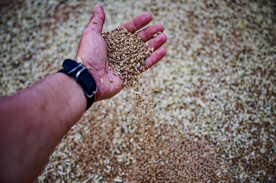 Ульяновская область занимает 7 место в ПФО по объёму фермерской продукции