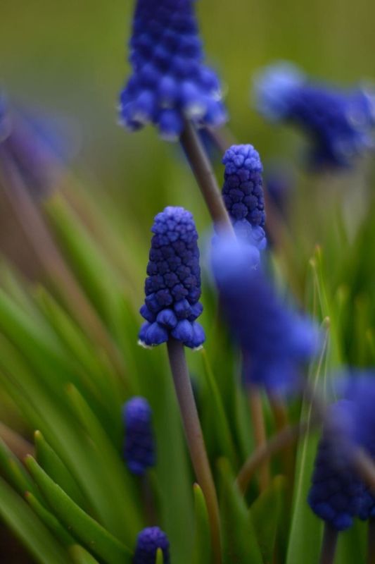 ��� ��������� ������ ��������: �� ��������� �� ������� ��������