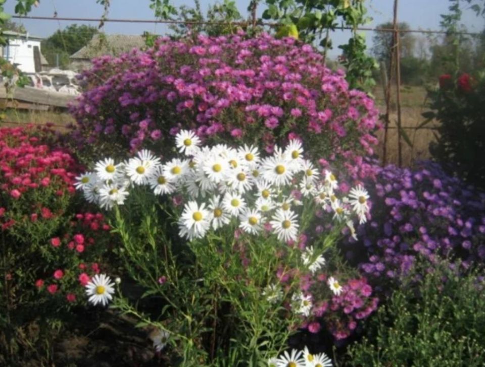 �����, ������� ������ ��� ������� ���