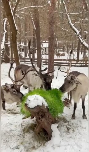 ��������� ������������ �������� �����, ��� ������ ����� ��������) � �� ��������� ������ ������� � �������� ��� ������������� ������ �����?