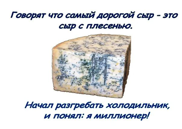 Как действовать, если обнаружили плесень на продуктах