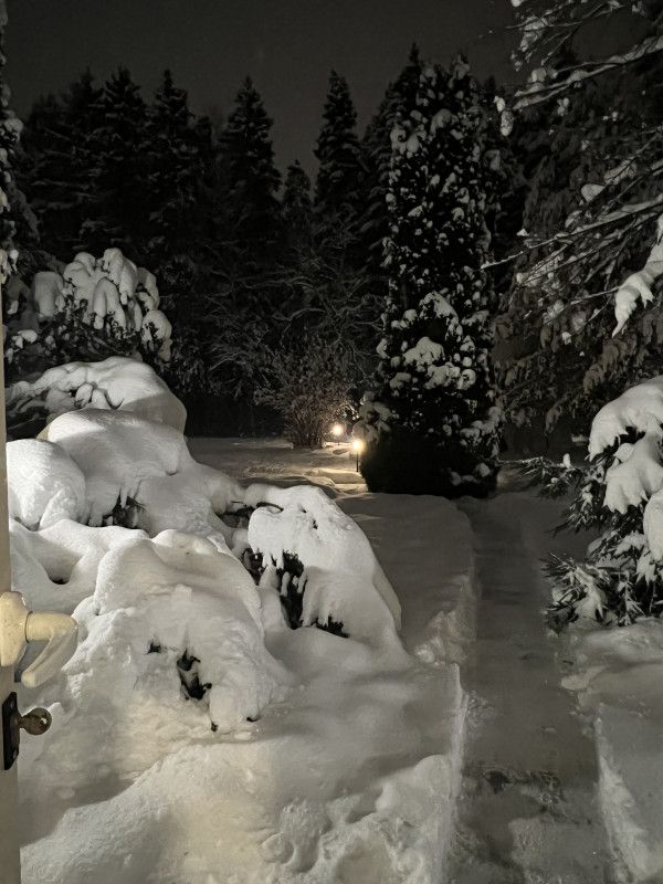 Как насладиться стейком после праздников