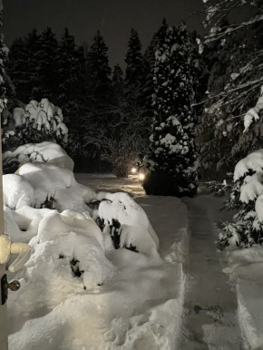 ��� ����������� ������� ����� ����������