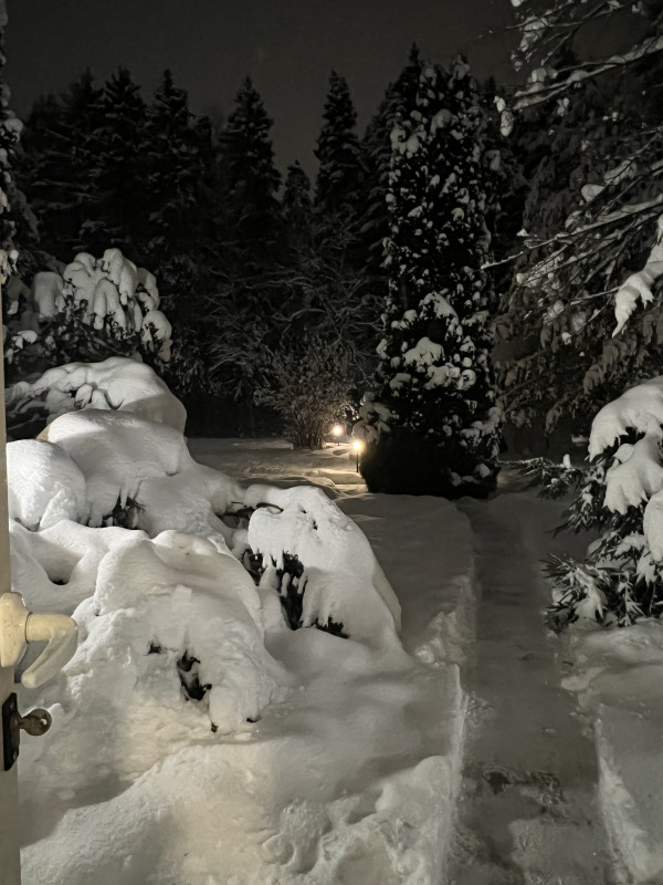 Как насладиться стейком после праздников