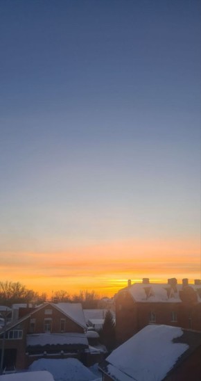 Доброе утро, друзья!. Встречаем весну! 1 марта — День кошек, Всемирный день комплимента, Всемирный день иммунитета и Праздник прихода весны