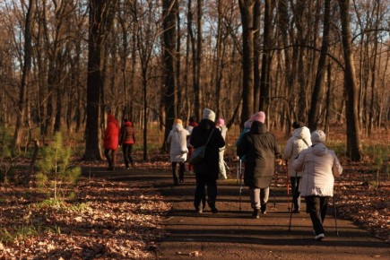 ��������� ����� � ������ ����������� �������������� ������� �������� �������������� � ������� ���������