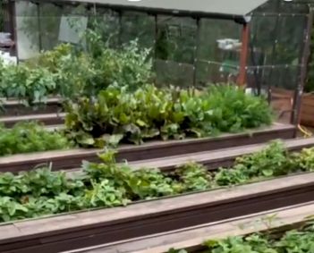 Высокие грядки: модный тренд или спорный выбор?