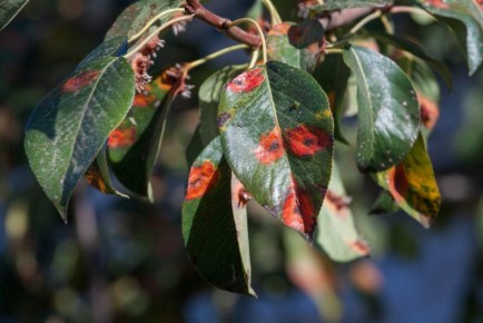 ��� ���������� �������� �� ����� � ���������� � ��� ��������