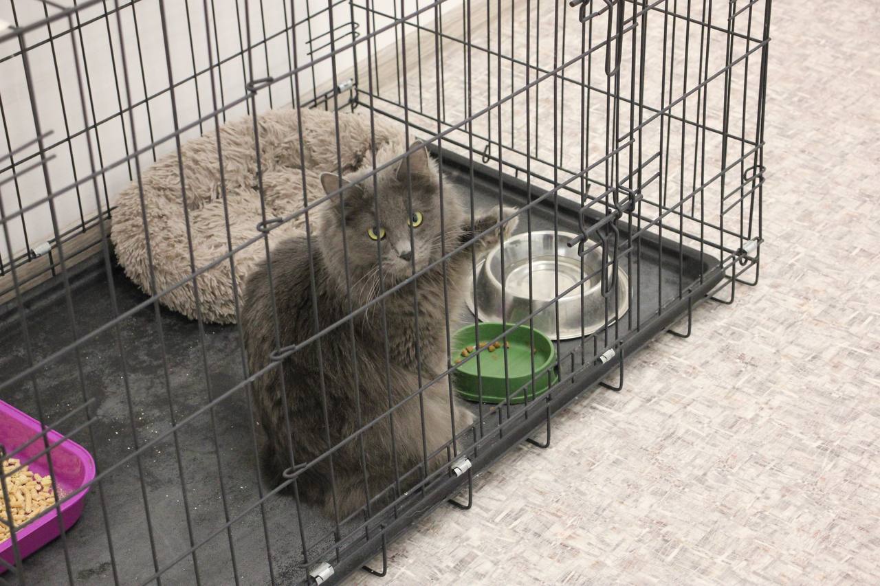 Кофейня, точка быстрого питания, ветклиника: социальные контракты помогают воплощать свои идеи в жизнь Кофейня, точка быстрого питания, ветклиника: социальные контракты помогают воплощать свои идеи в жизнь