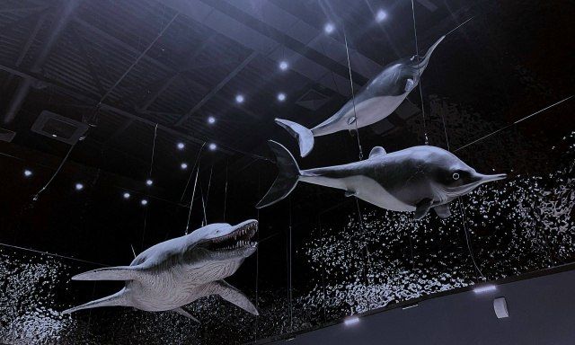 Новости из нового здания Ундоровского палеонтологического музея