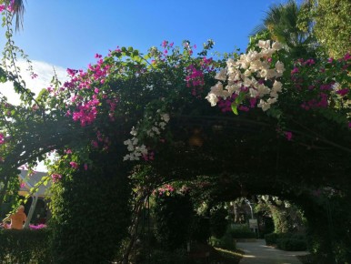 ����� ��������: ��� ���������� ����� Mukarnas 5* � ������