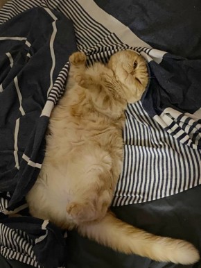 Доброе утро, друзья!. Сегодня, 5 марта, отмечаем День выключенных гаджетов, День мореходных училищ, День рождения степлера и Всемирный день энергоэффективности