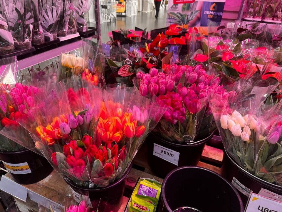 В Ульяновске к 8 Марта тюльпаны стали по цене роз — а местами оказались еще дороже