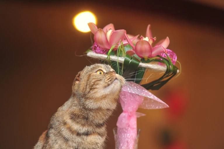 ����������� ���������� ������������ �� ��������� ��� ����� ������� �� 8 �����