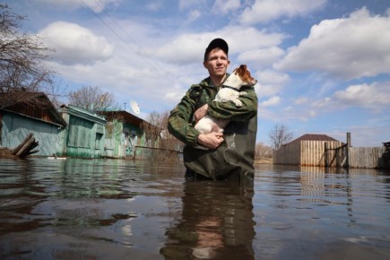 ���������� ������, ��� � 1979 ����: ������ ������������ ������� �������� ������ ���� ��������� ����������� �������