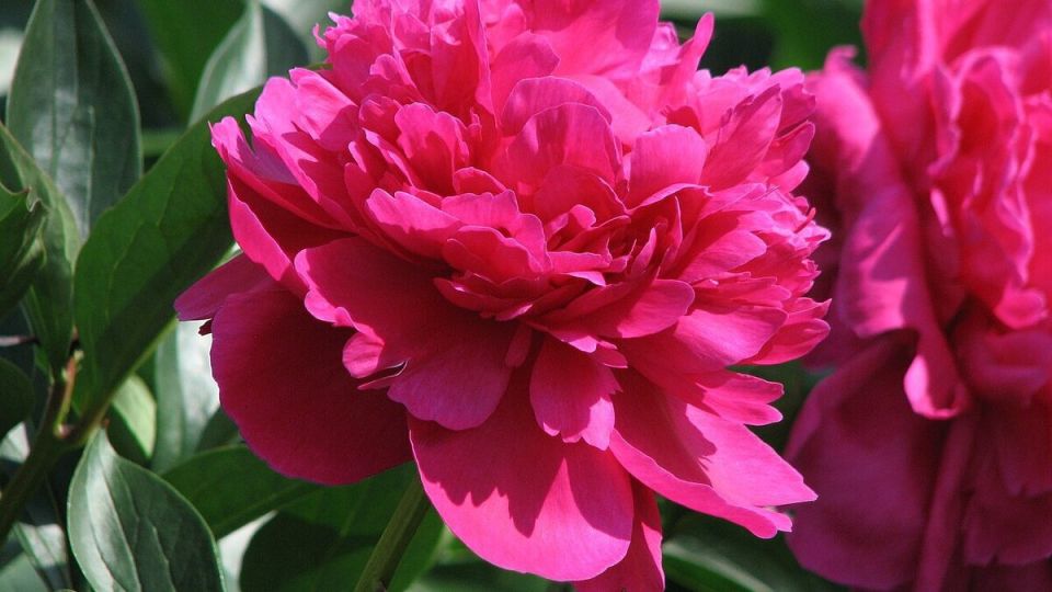 ��� ������� ������ �� ��������� ������� � �������