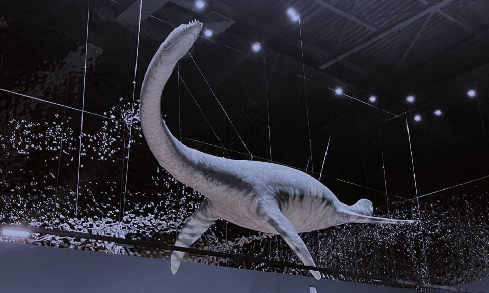 В Ундорах в новом палеонтологическом музее «поселили» трех впечатляющих древних морских хищников — посетителей ждёт встреча с эласмозавром, плиозавром и ихтиозаврами