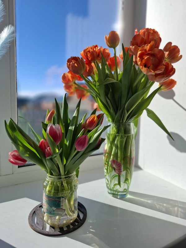 Доброе утро, друзья!. 8 марта празднуем Международный женский день, День корректора, День работников геодезии и картографии РФ и День весенних крыльев