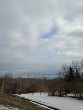 Утро доброе, друзья!. Как хорошо, что выходные продолжаются! 9 марта празднуем Всенародный день ликвидации последствий 8 Марта, День нестандартно мыслящих людей, Международный день ди-джея и День домашних насекомых