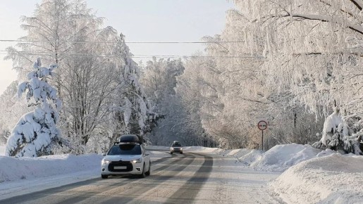 Минпросвещения Ульяновской области рекомендовало отменить занятия в школах