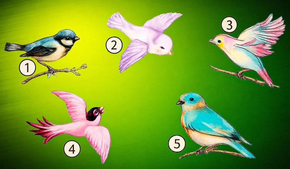 Как ваши предпочтения в птицах отражают вашу любовь к близким