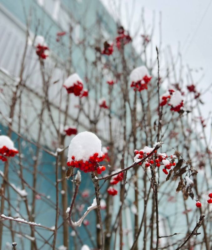 Доброе утро, друзья!. Сегодня, 10 марта, отмечаем День облачных слонов, День резиновых сапог, День архивов и Международный день крутизны