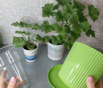 ������� ��������� ���������� ������: ��� �������� ������� ��������