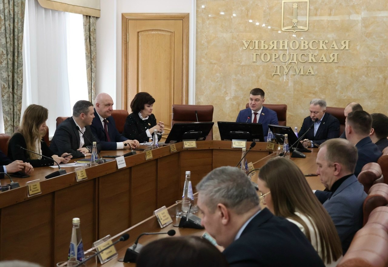 Депутаты проголосовали за проведение собраний по проектам-участникам программы «Народный бюджет»