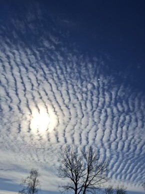 Доброе утро, друзья!. 12 марта — День запрета на уныние, День компьютерного глюка, Всемирный день ананаса и День работника уголовно-исполнительной системы РФ. Репортер 73 | Наш канал в MAX